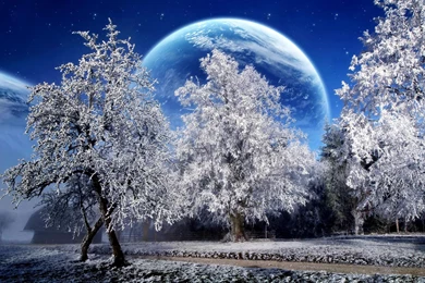 Free Winter Backgrounds Wallpapers
