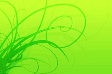 Free Bright Neon Green Wallpapers HD Wallpapers