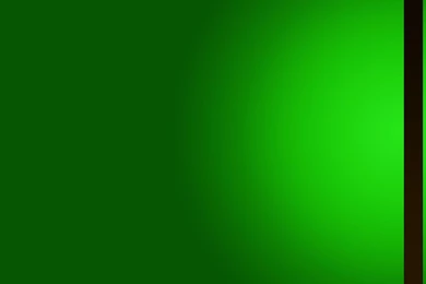 Lime Green   Wallpaper.