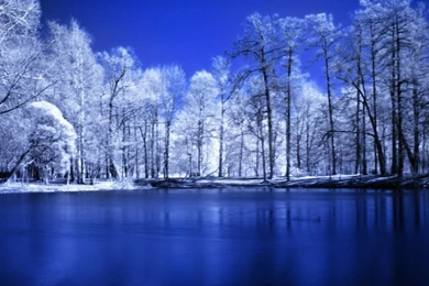 Blue Winter Backgrounds