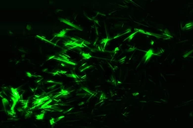 Living Room Ideas Brown Sofa High Resolution Photo For Desktop ...