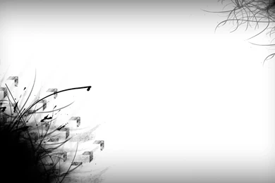 70 HD Black And White Wallpapers For Free Download (Resolution 1080p)