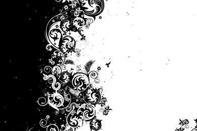 Black And White Wallpapers Murals   Widescreen HD Wallpapers