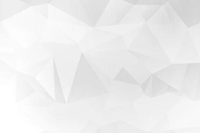 White Polygon Backgrounds   Picture Gallery