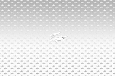 White Wallpaper Backgrounds