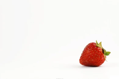 Strawberries White Backgrounds   New HD Wallpapers