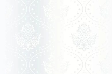 Bright White Floral Vector Backgrounds Set 05   Vector Backgrounds ...