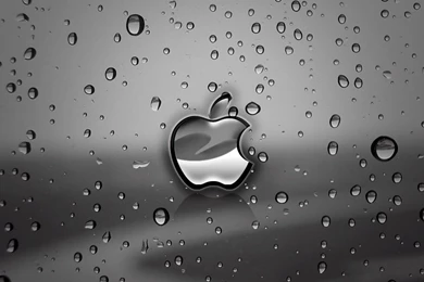 Apple Rain Logo iPad 1024 X 1024 Wallpapers   Computer Wallpapers