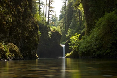 Rainforest Wallpapers [3840x2160] : Wallpapers