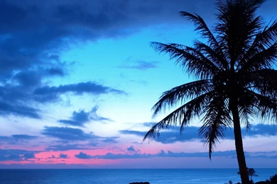 Blue sunset 27271 3840x2160 Wallpapers