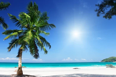 3840x2160 Wallpapers