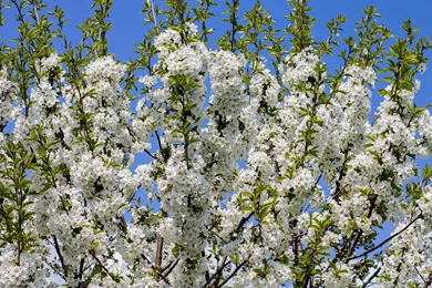 3840x2160 HD Wallpapers