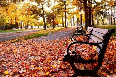 Fall Wallpapers Desktop Backgrounds