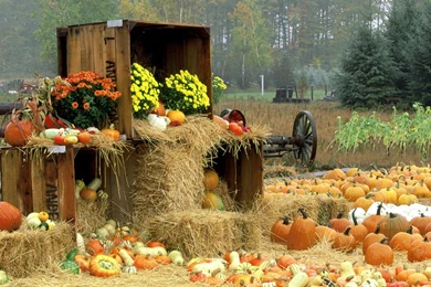 Fall Wallpapers For Desktop