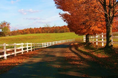 Desktop Wallpapers 9: Autumn Desktop Wallpapers