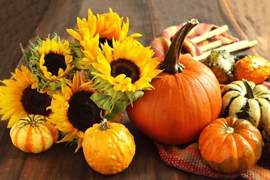 Autumn Wallpapers, Desktop Wallpapers » GoodWP.com