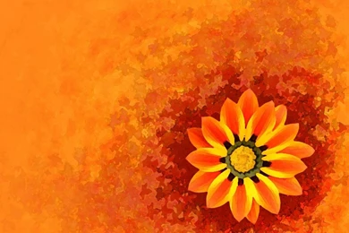 Free Fall Desktop Wallpapers Downloads Www