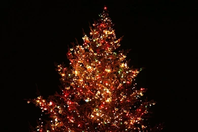 Christmas wallpaper 5.jpg