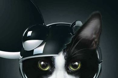 Deadmau5 Album iPhone 5 Wallpapers (640x1136)