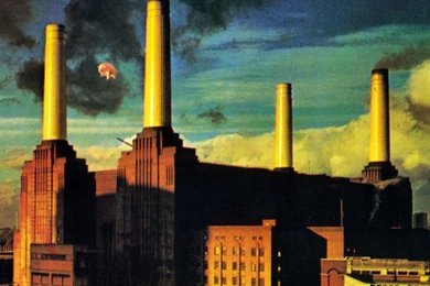 Pink Floyd Wallpapers 1920x1080