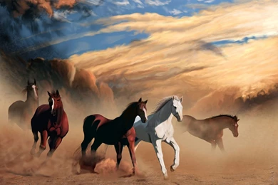 Horse Wallpapers HD Pictures