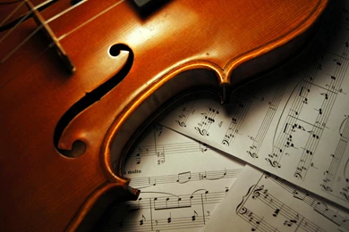 VIOLIN WALLPAPER   (