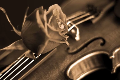 Top Cool Wallpapers Violin Music Images For Pinterest