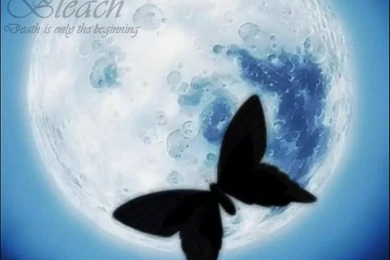 BLEACH WALLPAPERS   Bleach Anime Wallpapers (34292870)   Fanpop