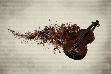 Violin Wallpapers   Photography Wallpapers