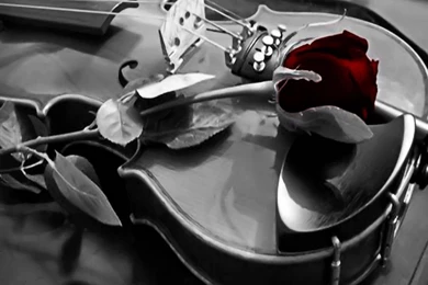 Violin Wallpapers