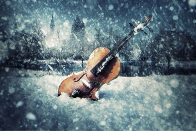 Violin Wallpapers iPhone Wallpaper.