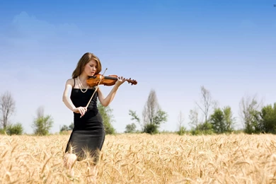 Girl Playing At A Violin Wallpapers   Girl Wallpapers