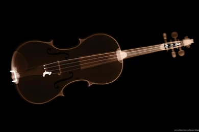 Best Violins Wallpapers Collection