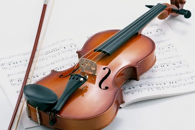 IWallpapers   Brown Violin iPad Wallpapers