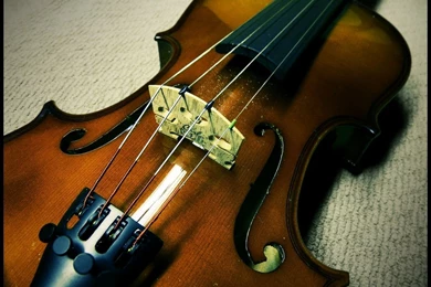 Top Violin Wallpapers Hd Desktop Images For Pinterest