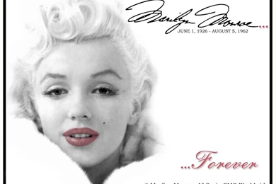 Marilyn Monroe On Pinterest