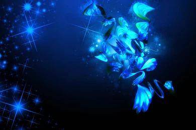 Huge Collection Of Abstract Blue Wallpapers : HD Collection