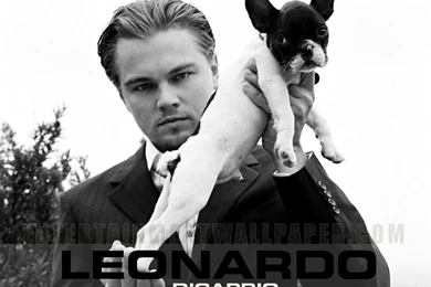 Leonardo DiCaprio   Leonardo DiCaprio Wallpapers (16946716)   Fanpop