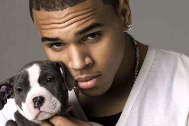 Chris Brown Wallpapers