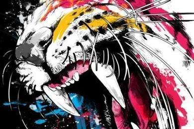 Wallpapers On Pinterest