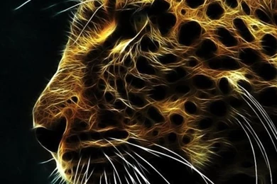 Hd Tiger Wallpapers For Iphone 5