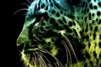 Top Colorful Tiger Wallpaper Images For Pinterest