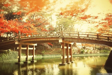 Autumn In Japan Wallpapers   Seasonal   Crazy Frankenstein