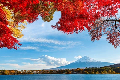 48 Mount Fuji HD Wallpapers