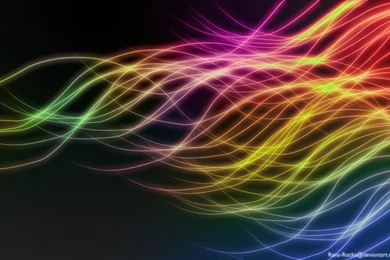 Free Animal HD Wallpaper Backgrounds (163)