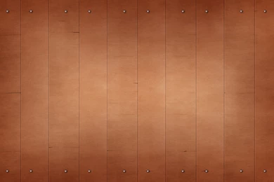 Free Animal HD Wallpaper Backgrounds (138)