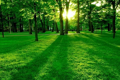 Free Computer Backgrounds HD Wallpapers Desktop Wallpapers ...