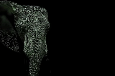 Download Elephant The Free Tattoo Wallpapers 1280x1024