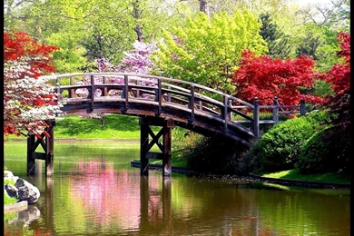 Free Desktop Backgrounds For Spring: Beautiful By Free Download ...