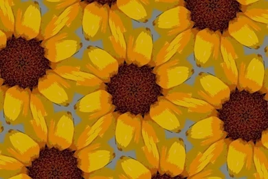 Free Illustration: Sunflower, Background, Paper   Free Image On ...